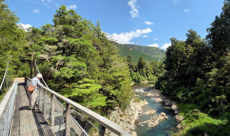 E (60) Pelorus Bridge.jpg